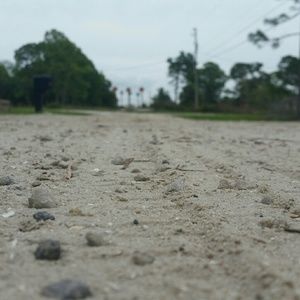 Meet your Posher, Bella